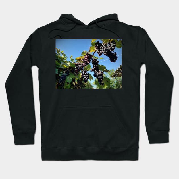 grapes Hoodie by Gourmetkater